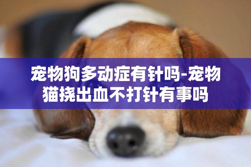 寵物狗多動癥有針嗎-寵物貓撓出血不打針有事嗎