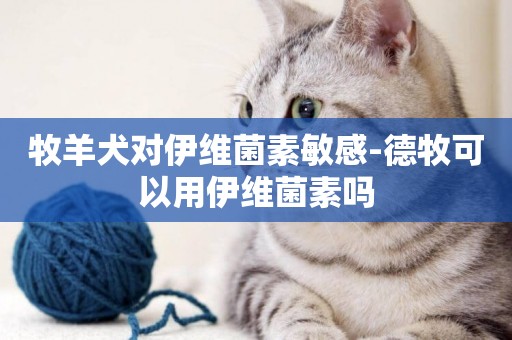 牧羊犬對伊維菌素敏感-德牧可以用伊維菌素嗎