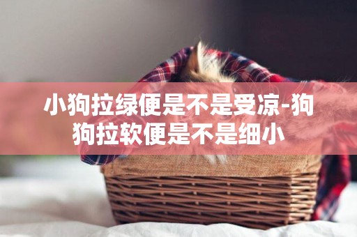 小狗拉綠便是不是受涼-狗狗拉軟便是不是細小