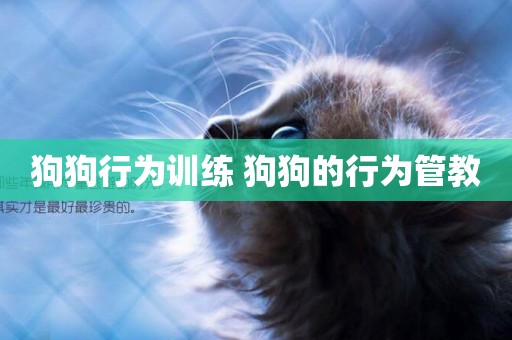 狗狗行為訓練 狗狗的行為管教