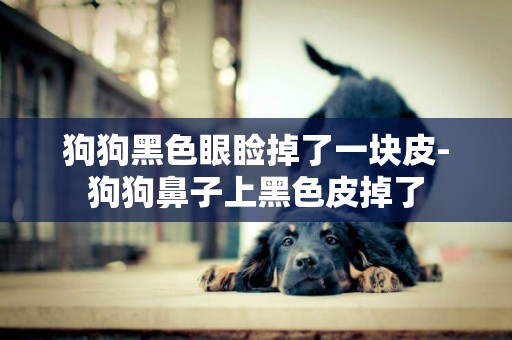 狗狗黑色眼瞼掉了一塊皮-狗狗鼻子上黑色皮掉了