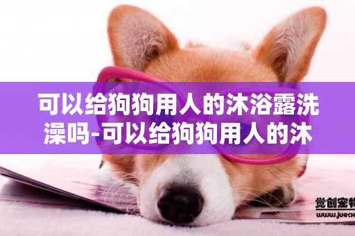 可以給狗狗用人的沐浴露洗澡嗎-可以給狗狗用人的沐浴露嗎