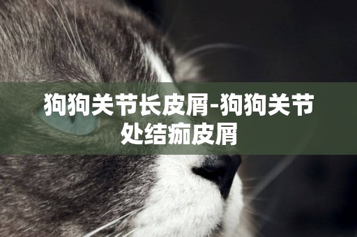 狗狗關節長皮屑-狗狗關節處結痂皮屑