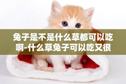 兔子是不是什么草都可以吃啊-什么草兔子可以吃又很常見