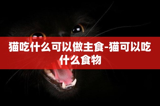 貓吃什么可以做主食-貓可以吃什么食物