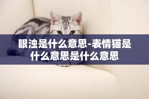 眼濁是什么意思-表情貓是什么意思是什么意思