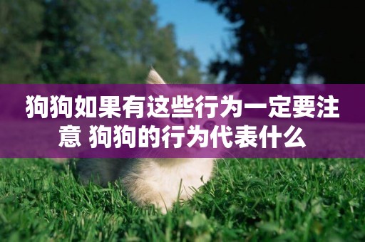 狗狗如果有這些行為一定要注意 狗狗的行為代表什么