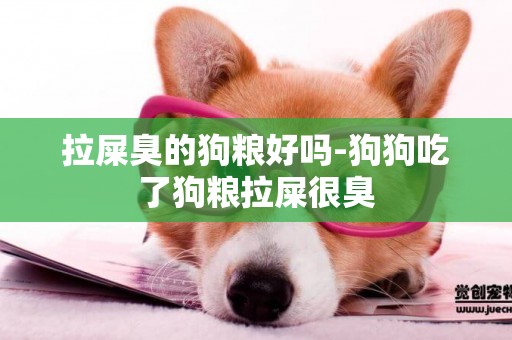 拉屎臭的狗糧好嗎-狗狗吃了狗糧拉屎很臭