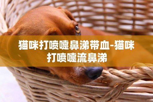 貓咪打噴嚏鼻涕帶血-貓咪打噴嚏流鼻涕