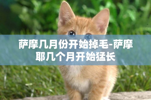 薩摩幾月份開始掉毛-薩摩耶幾個月開始猛長