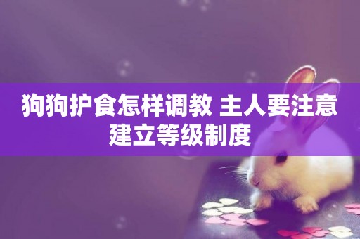 狗狗護食怎樣調教 主人要注意建立等級制度