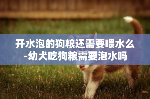 開水泡的狗糧還需要喂水么-幼犬吃狗糧需要泡水嗎