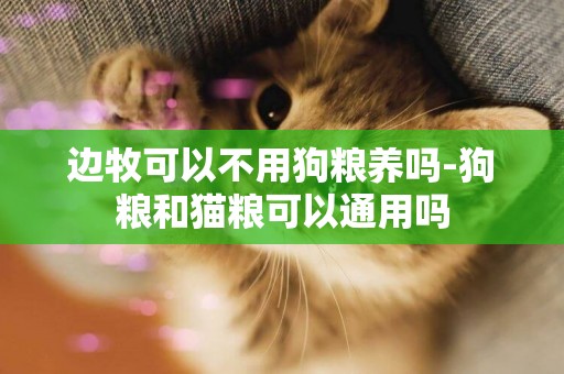 邊牧可以不用狗糧養嗎-狗糧和貓糧可以通用嗎