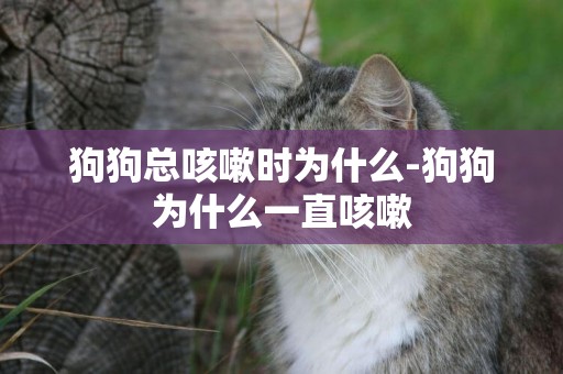 狗狗總咳嗽時為什么-狗狗為什么一直咳嗽