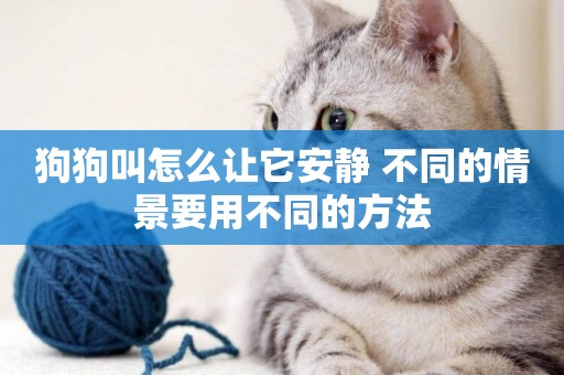 狗狗叫怎么讓它安靜 不同的情景要用不同的方法