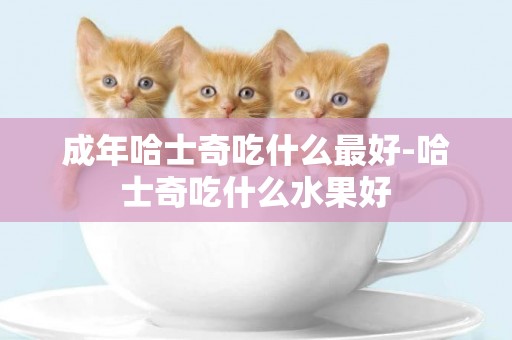 成年哈士奇吃什么最好-哈士奇吃什么水果好