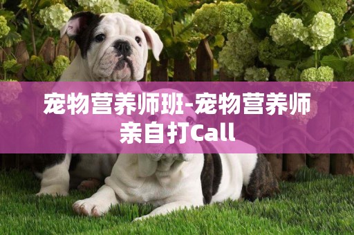 寵物營養師班-寵物營養師親自打Call