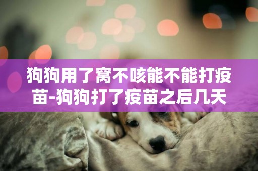 狗狗用了窩不咳能不能打疫苗-狗狗打了疫苗之后幾天不能洗澡