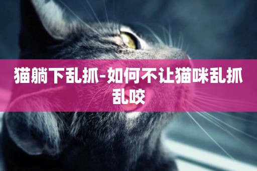 貓躺下亂抓-如何不讓貓咪亂抓亂咬