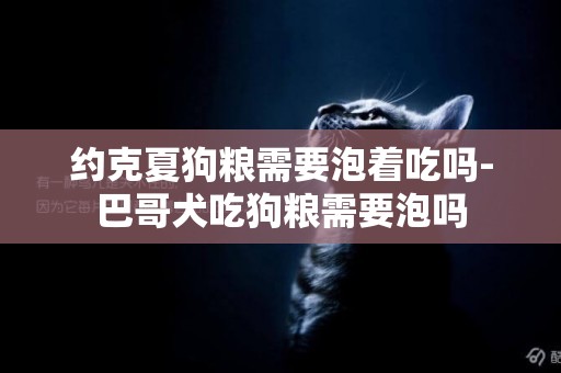 約克夏狗糧需要泡著吃嗎-巴哥犬吃狗糧需要泡嗎