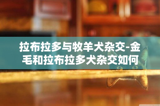 拉布拉多與牧羊犬雜交-金毛和拉布拉多犬雜交如何