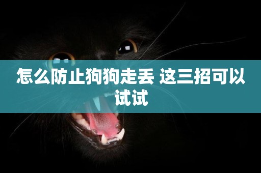 怎么防止狗狗走丟 這三招可以試試
