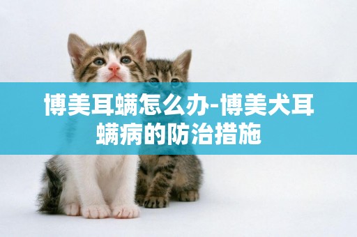 博美耳螨怎么辦-博美犬耳螨病的防治措施