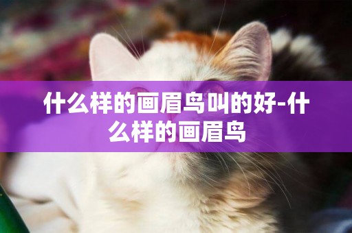 什么樣的畫眉鳥叫的好-什么樣的畫眉鳥