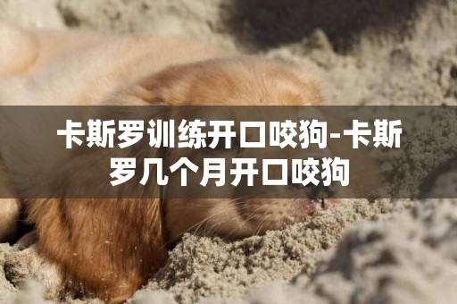 卡斯羅訓練開口咬狗-卡斯羅幾個月開口咬狗