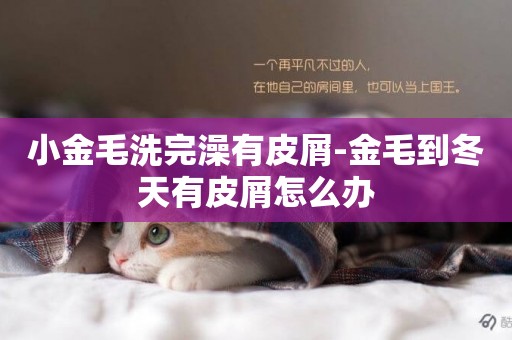 小金毛洗完澡有皮屑-金毛到冬天有皮屑怎么辦