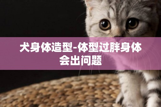 犬身體造型-體型過胖身體會出問題