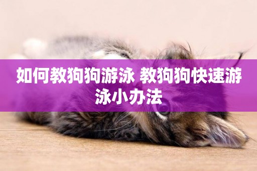 如何教狗狗游泳 教狗狗快速游泳小辦法