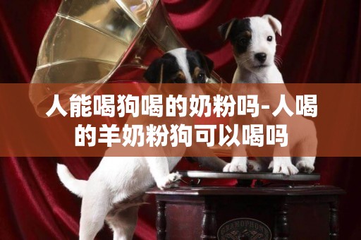 人能喝狗喝的奶粉嗎-人喝的羊奶粉狗可以喝嗎