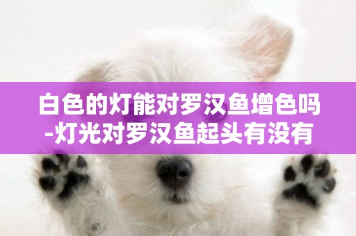 白色的燈能對羅漢魚增色嗎-燈光對羅漢魚起頭有沒有作用