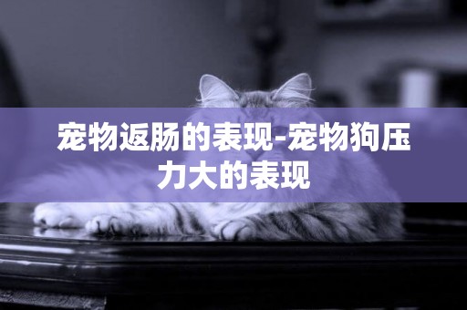 寵物返腸的表現-寵物狗壓力大的表現
