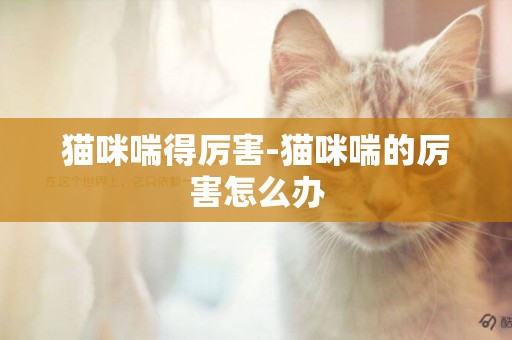 貓咪喘得厲害-貓咪喘的厲害怎么辦