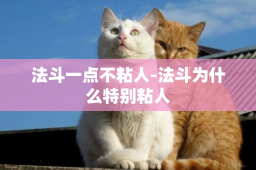 法斗一點不粘人-法斗為什么特別粘人
