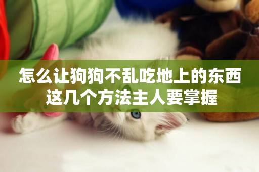 怎么讓狗狗不亂吃地上的東西 這幾個方法主人要掌握