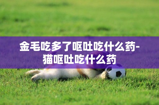 金毛吃多了嘔吐吃什么藥-貓嘔吐吃什么藥