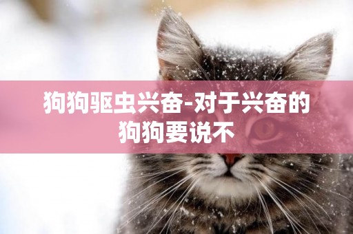 狗狗驅蟲興奮-對于興奮的狗狗要說不