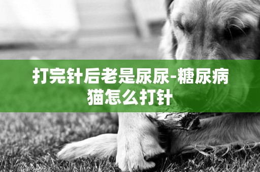 打完針后老是尿尿-糖尿病貓怎么打針