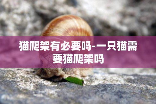 貓爬架有必要嗎-一只貓需要貓爬架嗎