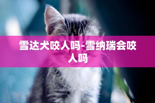 雪達犬咬人嗎-雪納瑞會咬人嗎