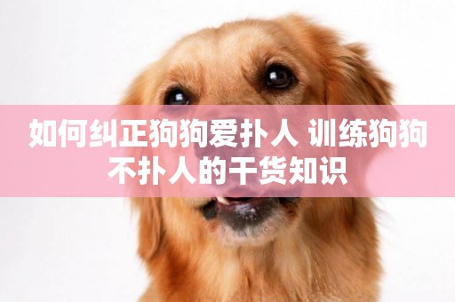 如何糾正狗狗愛撲人 訓練狗狗不撲人的干貨知識