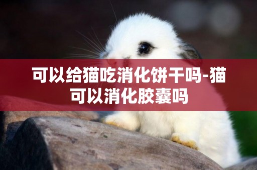 可以給貓吃消化餅干嗎-貓可以消化膠囊嗎