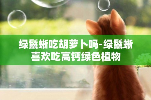 綠鬣蜥吃胡蘿卜嗎-綠鬣蜥喜歡吃高鈣綠色植物