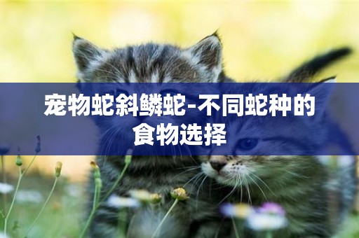 寵物蛇斜鱗蛇-不同蛇種的食物選擇