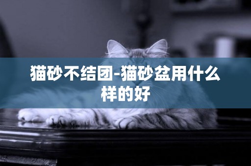 貓砂不結團-貓砂盆用什么樣的好