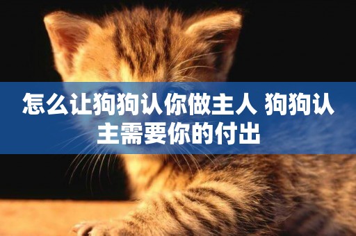 怎么讓狗狗認你做主人 狗狗認主需要你的付出
