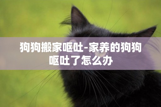 狗狗搬家嘔吐-家養的狗狗嘔吐了怎么辦